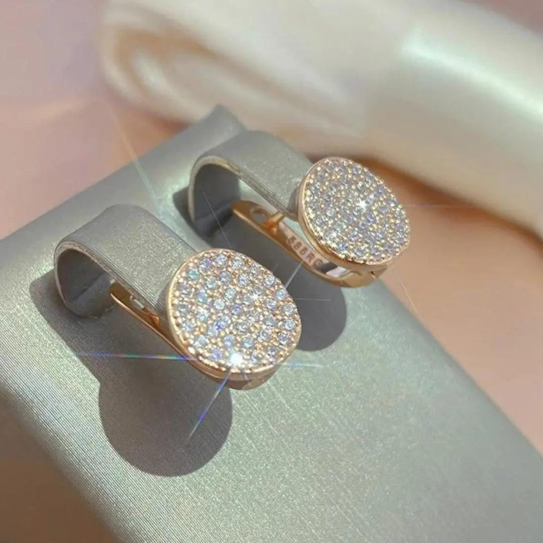 Elegant and glittering earrings